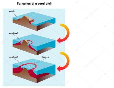 Coral atoll formation. Stock Vector by ©rob3000 60816819