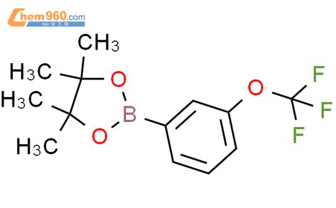 262376 31 83 三氟甲氧基苯硼酸频呐醇酯cas号262376 31 83 三氟甲氧基苯硼酸频呐醇酯中英文名分子式结构式