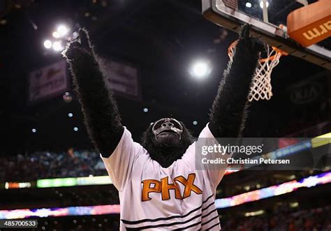 Phoenix Suns Gorilla Mascot Photos and Premium High Res Pictures ...