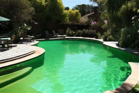 Dicas De Como Limpar Piscina Verde Em Minutos