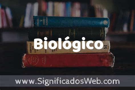 O Que Significa Biológico - Concepto de Biológico ️¿Que es? Definición y Significado