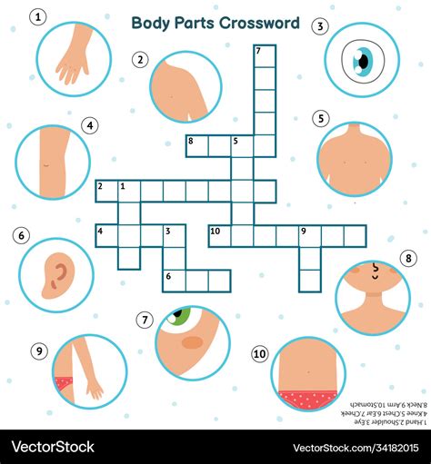 Body Parts Crossword With Hand Eye Shoulder Vector Image