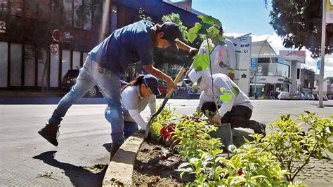 Para combatir cambio climático realizan campañas de limpia y