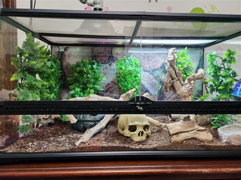 Here are my snakes enclosures | Our Reptile Forum