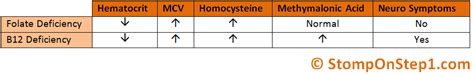 Folate & B12 Deficiency, Megaloblastic Anemia | Stomp On Step1