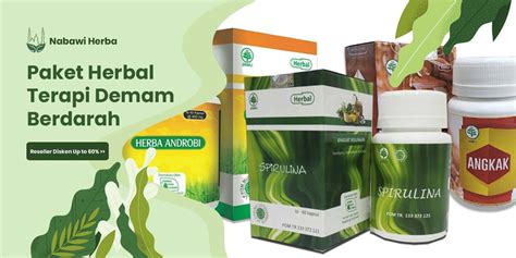 Paket Obat Herbal Demam Berdarah Nabawi Herba Distributor Herbal