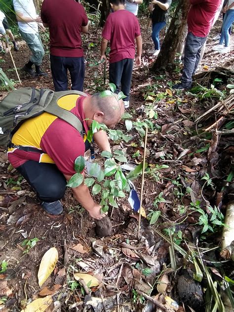 ASEAN EU Conducts Tree Planting At The Makiling Botanic Gardens An