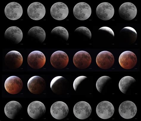 The Stages of the Lunar Eclipse : astrophotography