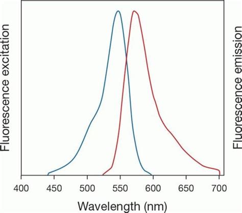 Celltrace™ Yellow Cell Proliferation Kit For Flow Cytometry