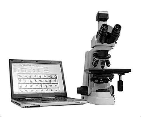 Computer And Phase Contrast Optical Microscope Download Scientific Diagram