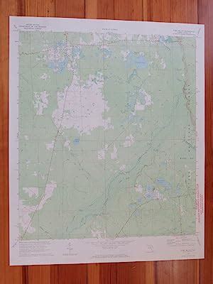 Fort McCoy Florida 1973 Original Vintage USGS Topo Map: (1973) Map ...