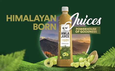 Buy Himalayan Organic Amla Juice Online At Best Price