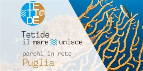 BIT Milano Presentato Il Progetto Tetide