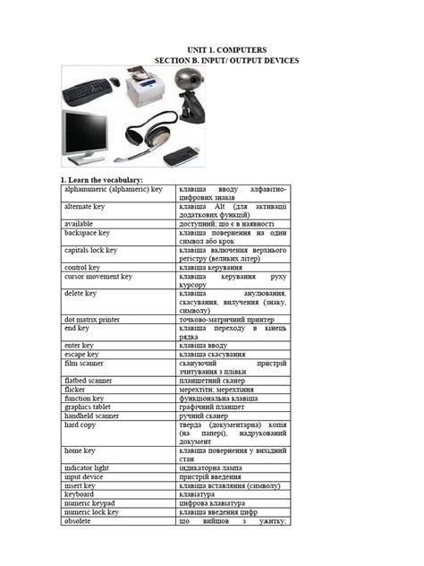 INPUT OUTPUT DEVICES | PDF