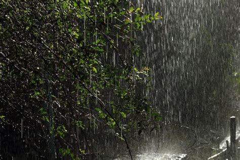 Petricor Por Que Gostamos Do Cheiro De Chuva