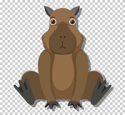 Linda Capivara PNG Desenho Animado De Capivara Clipart De Capivara