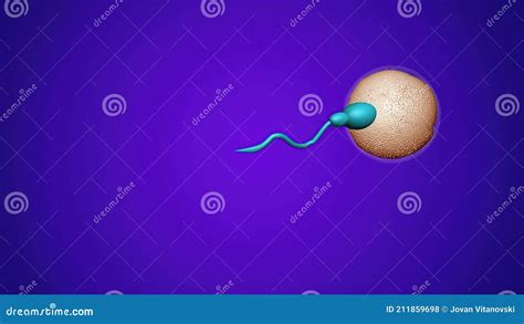 Sperm And Fertile Human Egg Insemination Concept Stock Illustration