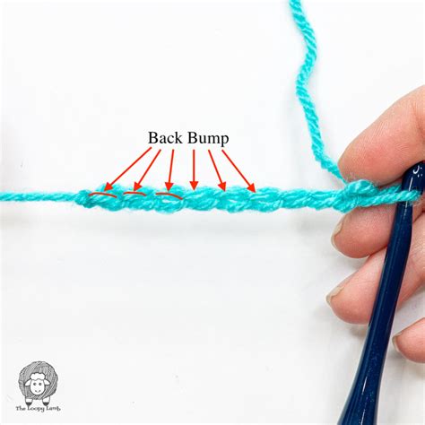 How To Crochet In The Back Bumps Of A Chain Tutorial