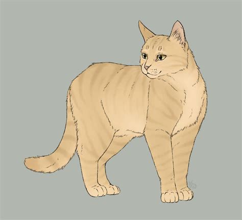 Purebreds - Sandstorm | Warrior cats books, Warrior cats, Warrior cats art