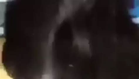 Hairjob Cumshot Roommate On Knees Free Porn F3 XHamster