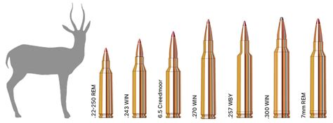 Hunting Caliber Chart | Sportsman's Warehouse