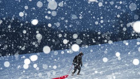 Featured Local News from the Louisville Courier-Journal 4