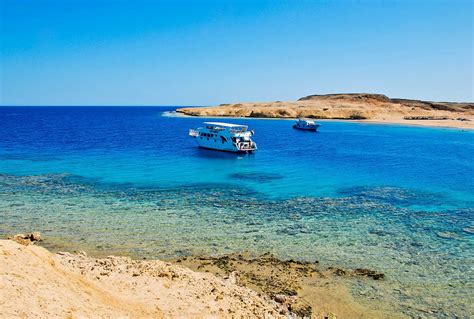 Ras Mohammed And White Island National Park Cruise And Snorkeling Tour