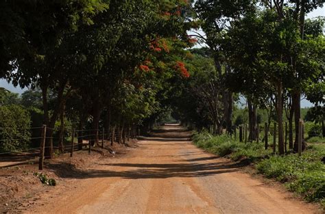 Na Rota Do Gr O Do Cerrado Caf Point