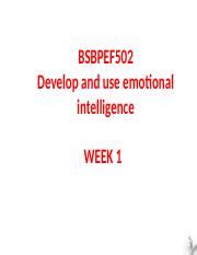 BSBPEF502 PowerPoint Slides WEEK 1 Pptx BSBPEF502 Develop And Use