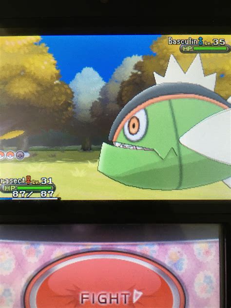 Shiny Basculin after 198 fish : r/ShinyPokemon