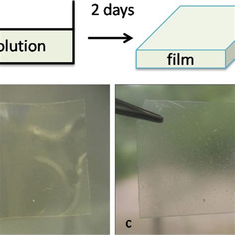 Polyelectrolyte Complex Films A Schematic Of The Preparation And Download Scientific Diagram