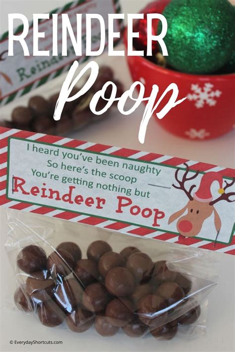 Reindeer Poop