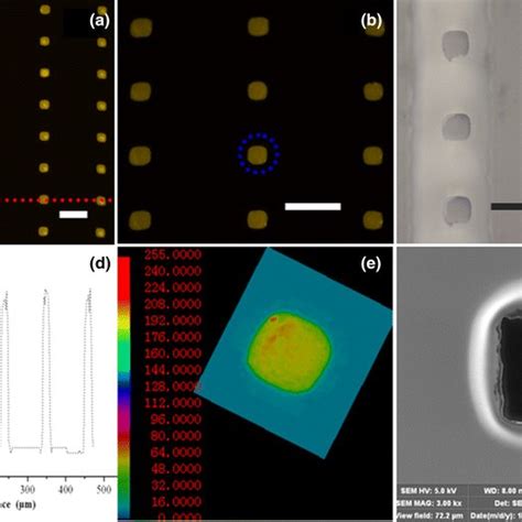 Microfluidic Chip With QD Microarray A B Fluorescence Images Of QD