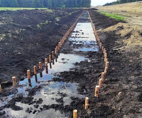 Faszynowanie stawu Usługi ziemne melioracja bio umocnienia