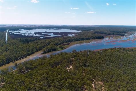 Image Smt Barmah Muster Yards Sydney Melbourne Touring