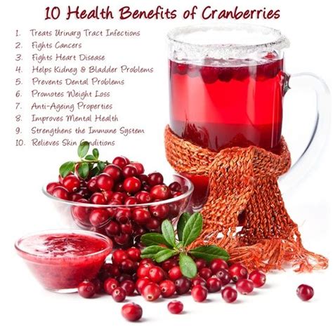 Most People Know That Cranberries Are Good For Urinary Tract Infections But They Have Many Other