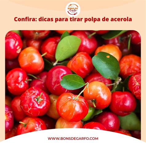 Confira Dicas Para Tirar Polpa De Acerola