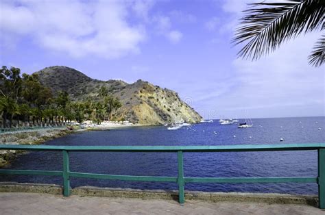 Catalina Island Harbor Editorial Photo Image Of Amazing 43693611