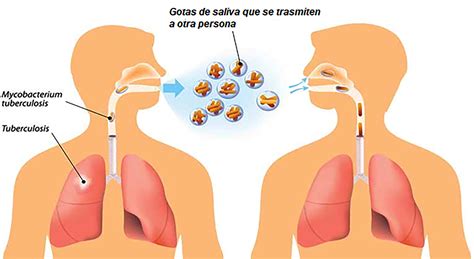 Recursos Del Bolet N Unam Dgcs