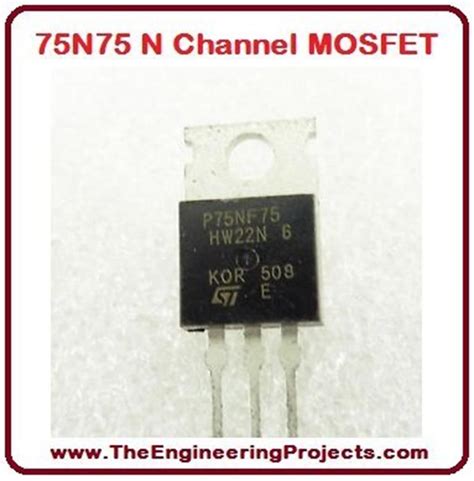 Introduction to 75N75 - The Engineering Projects