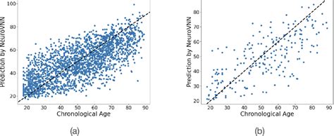 Figure From Towards A Foundation Model For Brain Age Prediction Using