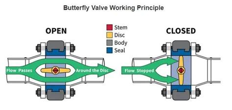 Different Types Of Butterfly Valves Introduction Zfa Valve Zfa Valves Manufacturer