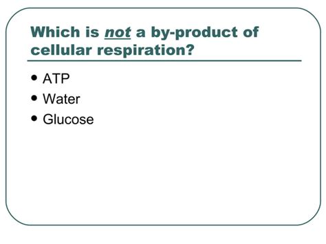 Intro To Cellular Respiration PPT