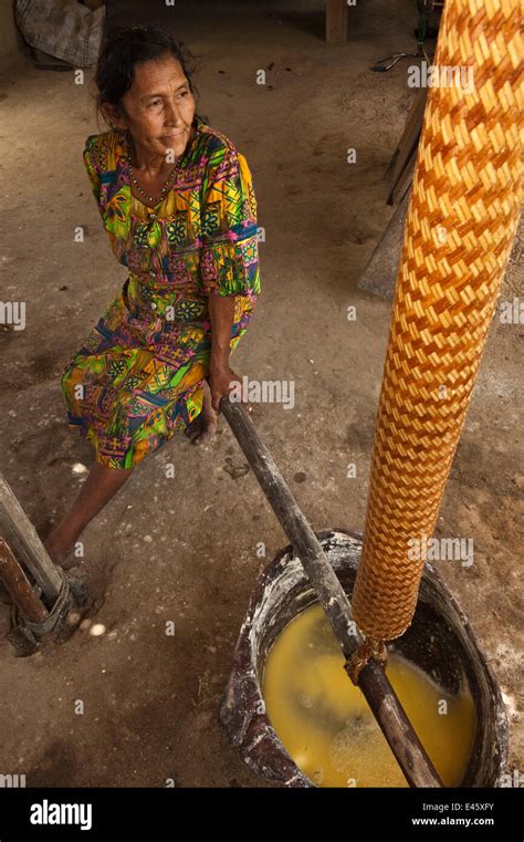 Cassava flour hi-res stock photography and images - Alamy