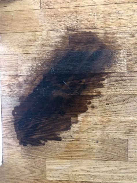 Comment Enlever Une Tache Sur Parquet Casanaute