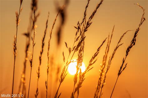 Bakgrundsbilder solljus landskap mat solnedgång natur reflexion