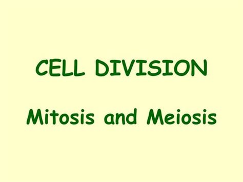 Cell division – meiosis