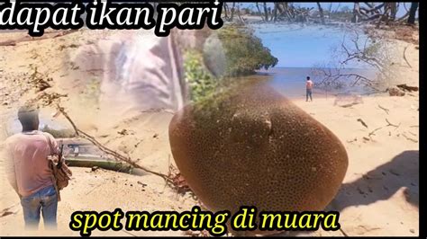 Mesti Hati Hati Jika Mancing Di Muara Ini Sering Terjadi Kesalah