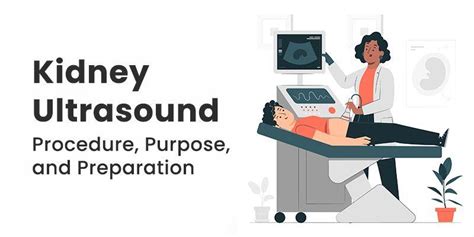 Kidney Ultrasound: Procedure, Purpose, and Preparation