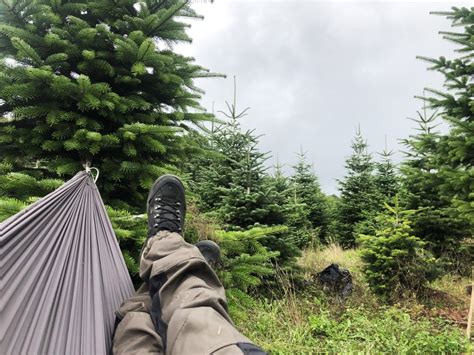 Lyophilisés Kit randonnée bivouac 3 jours Mon avis et retex